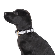 Grey Check Dog Collar